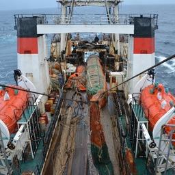 Российские рыбаки преодолели планку в 4 млн тонн