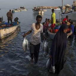 ЕС поможет повысить отдачу от рыбного хозяйства развивающимся странам