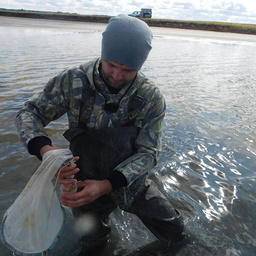 Госрыбцентр оценивает ресурсы озер за Уралом